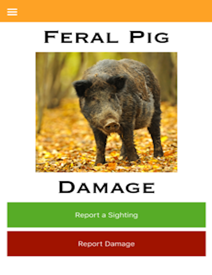 Feral Pig App